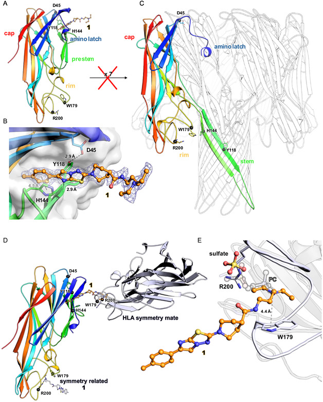 FIGURE 3