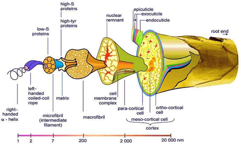 Fig. 11