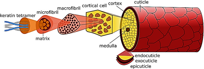 Fig. 12