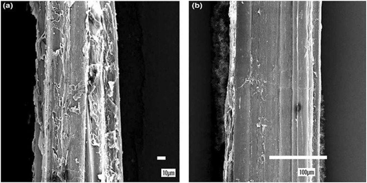 Fig. 14