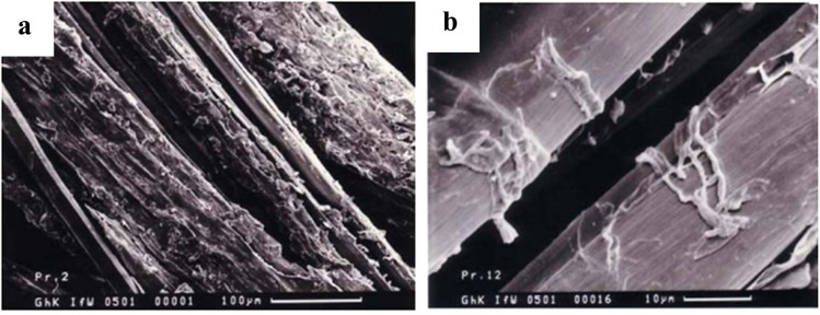 Fig. 15