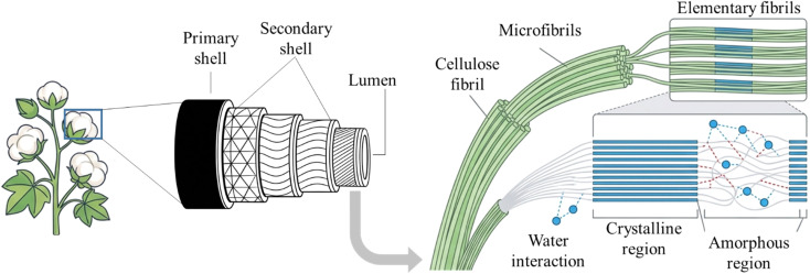 Fig. 7