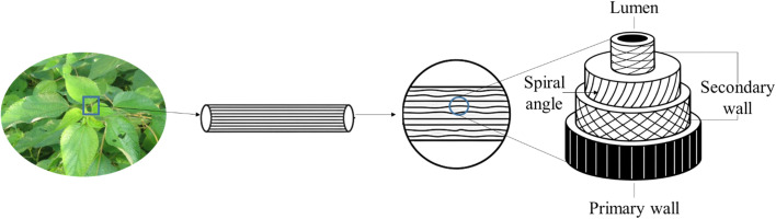 Fig. 8