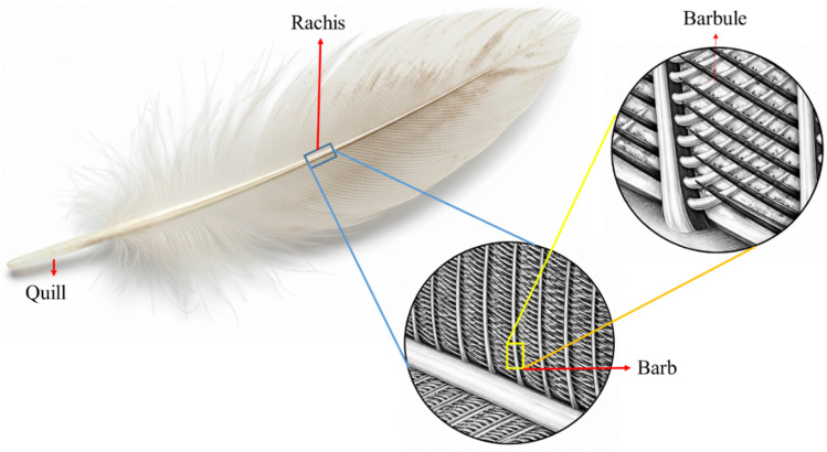 Fig. 9