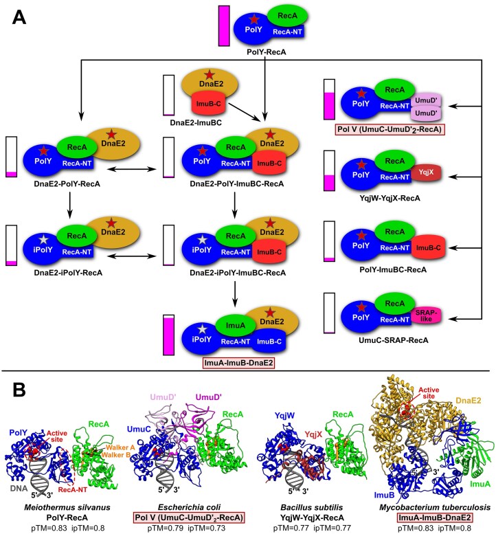 Figure 6