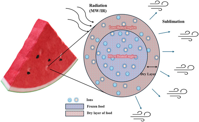 FIGURE 4
