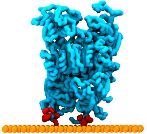 Figure 7