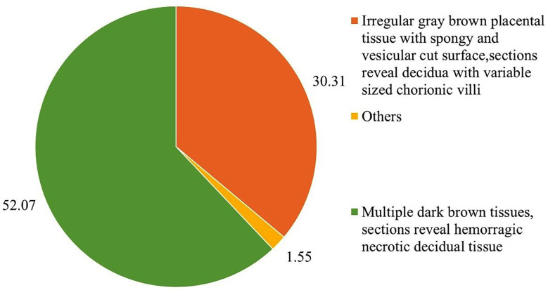 Fig.1