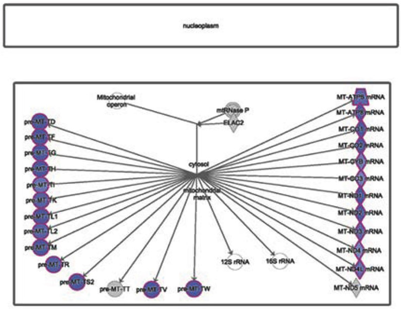 Fig.2