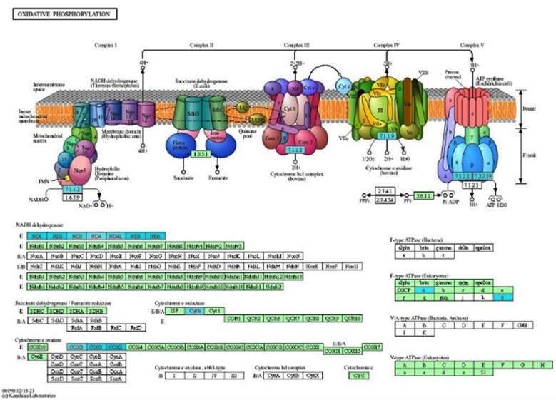 Fig.3