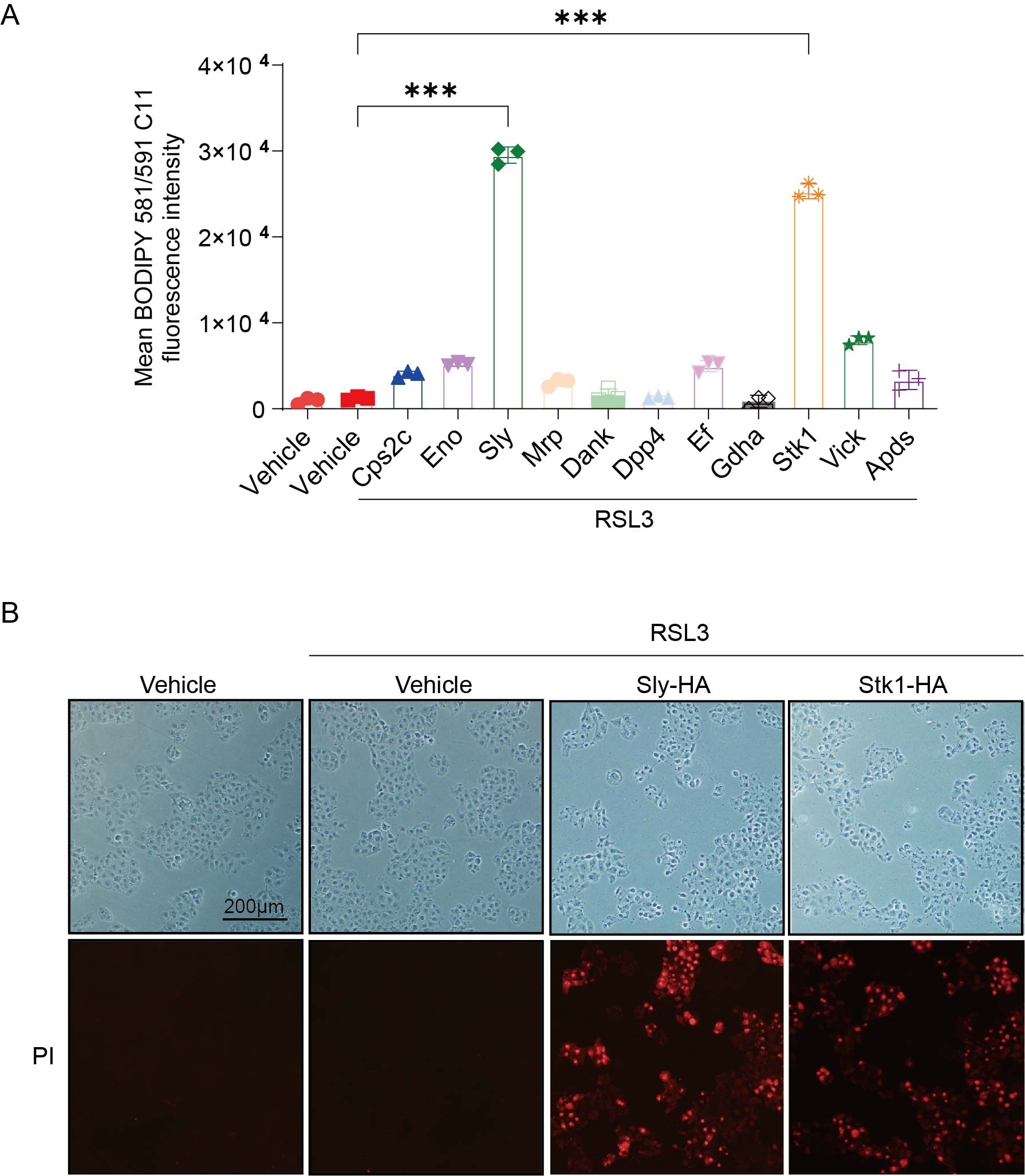 Figure 17