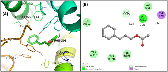 Figure 2