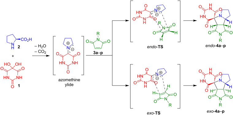 Scheme 5