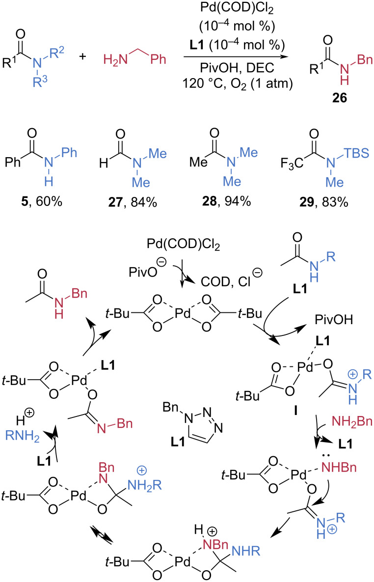 Scheme 6