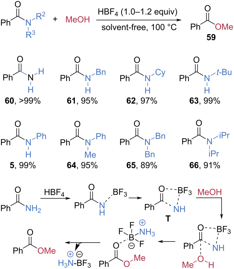 Scheme 12