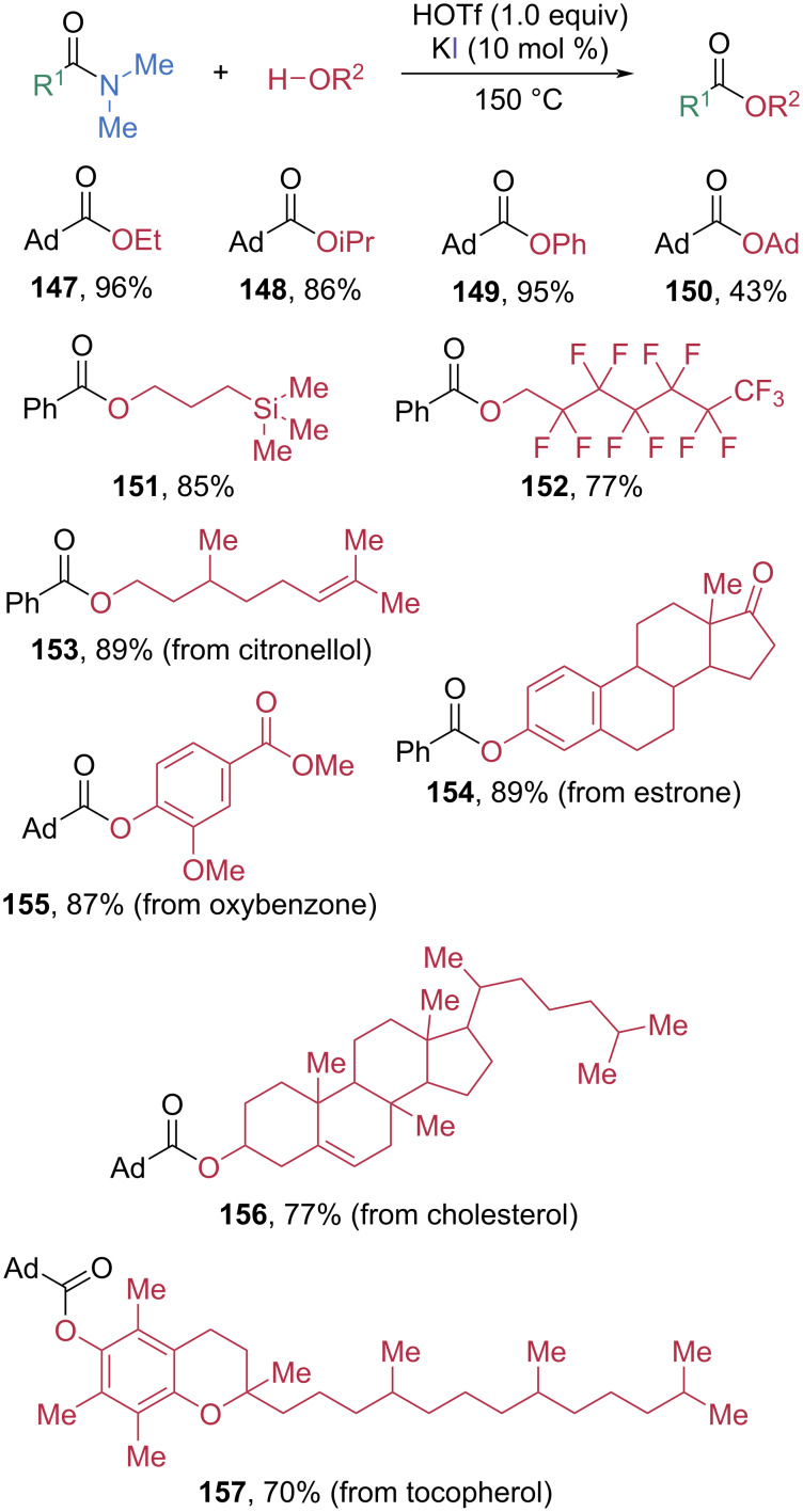 Scheme 20