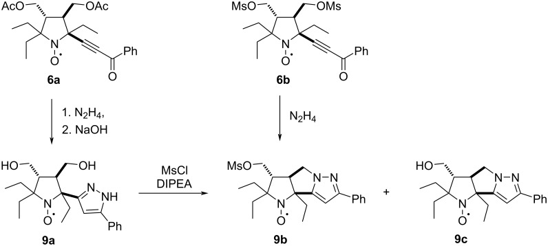 Scheme 5