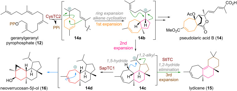 Scheme 3