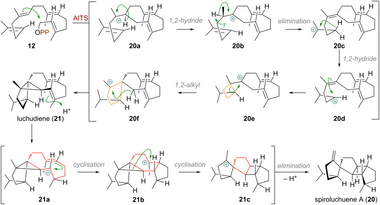 Scheme 5