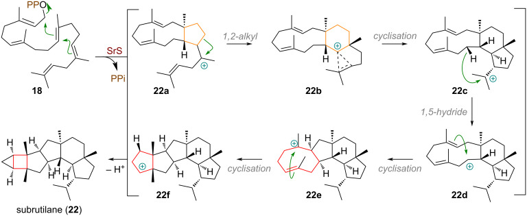 Scheme 6