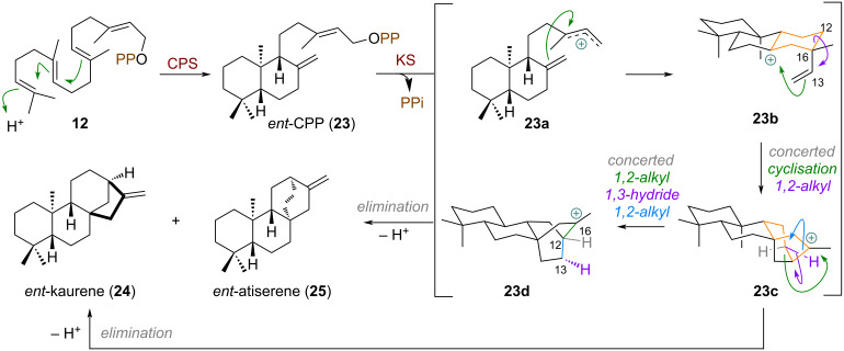 Scheme 7