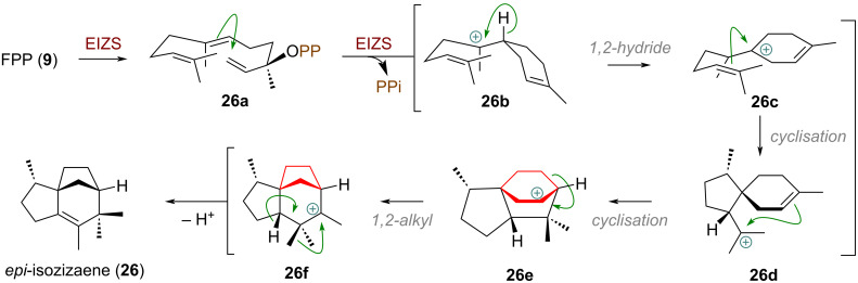 Scheme 8