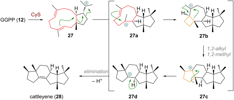 Scheme 9