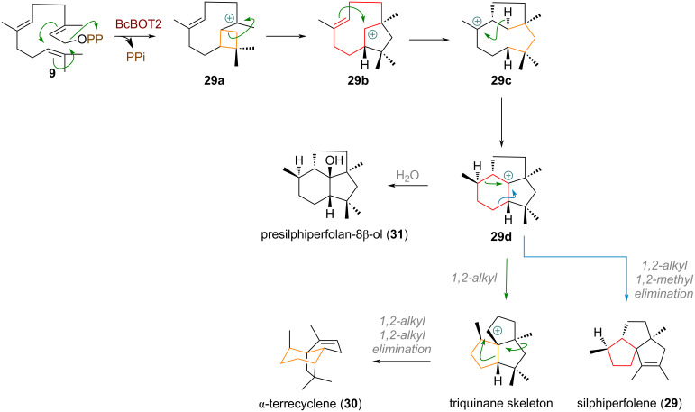 Scheme 10
