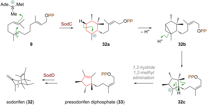 Scheme 11