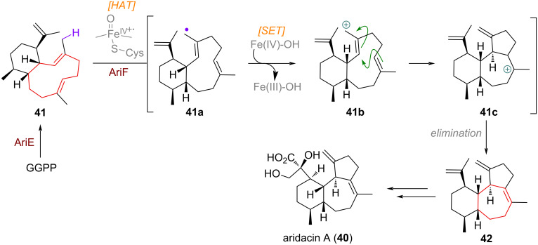 Scheme 14