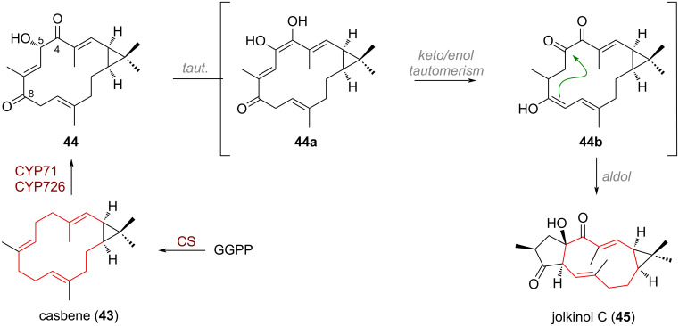 Scheme 15
