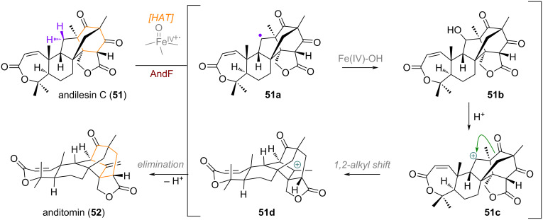 Scheme 17
