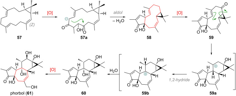 Scheme 19