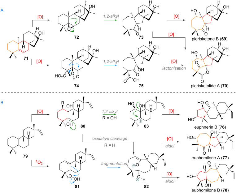 Scheme 22