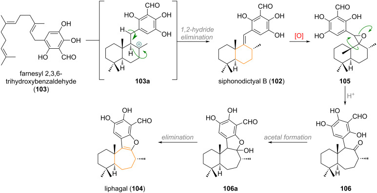 Scheme 26