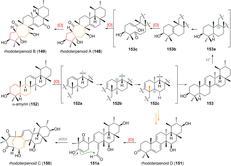 Scheme 36