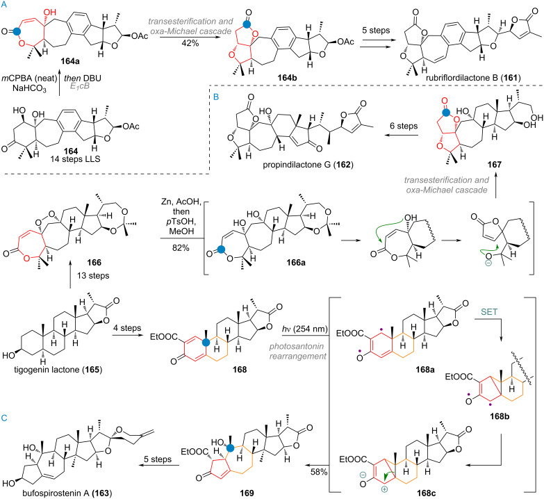 Scheme 39