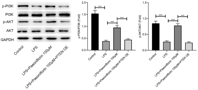 Figure 5
