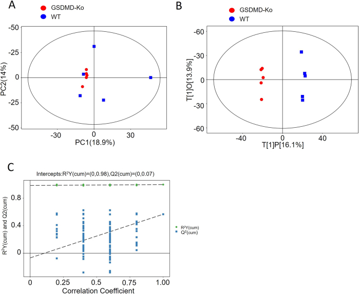 Figure 1