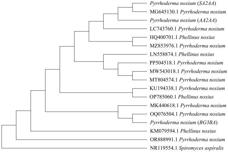 Figure 2