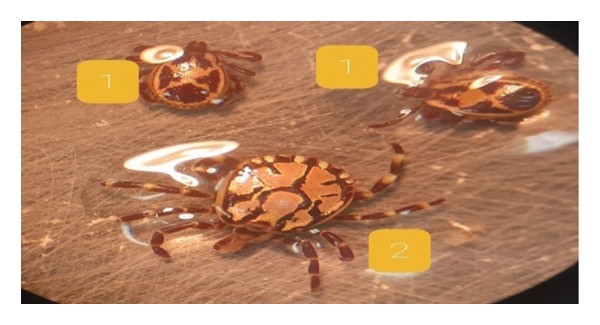 FIGURE 1