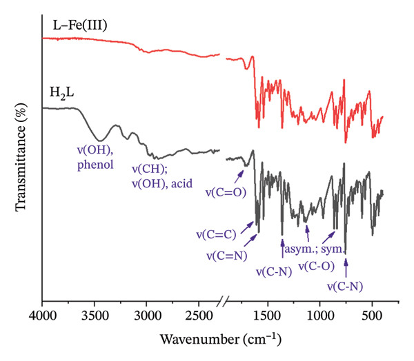 FIGURE 2