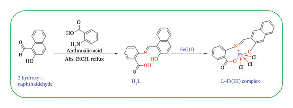 FIGURE 1