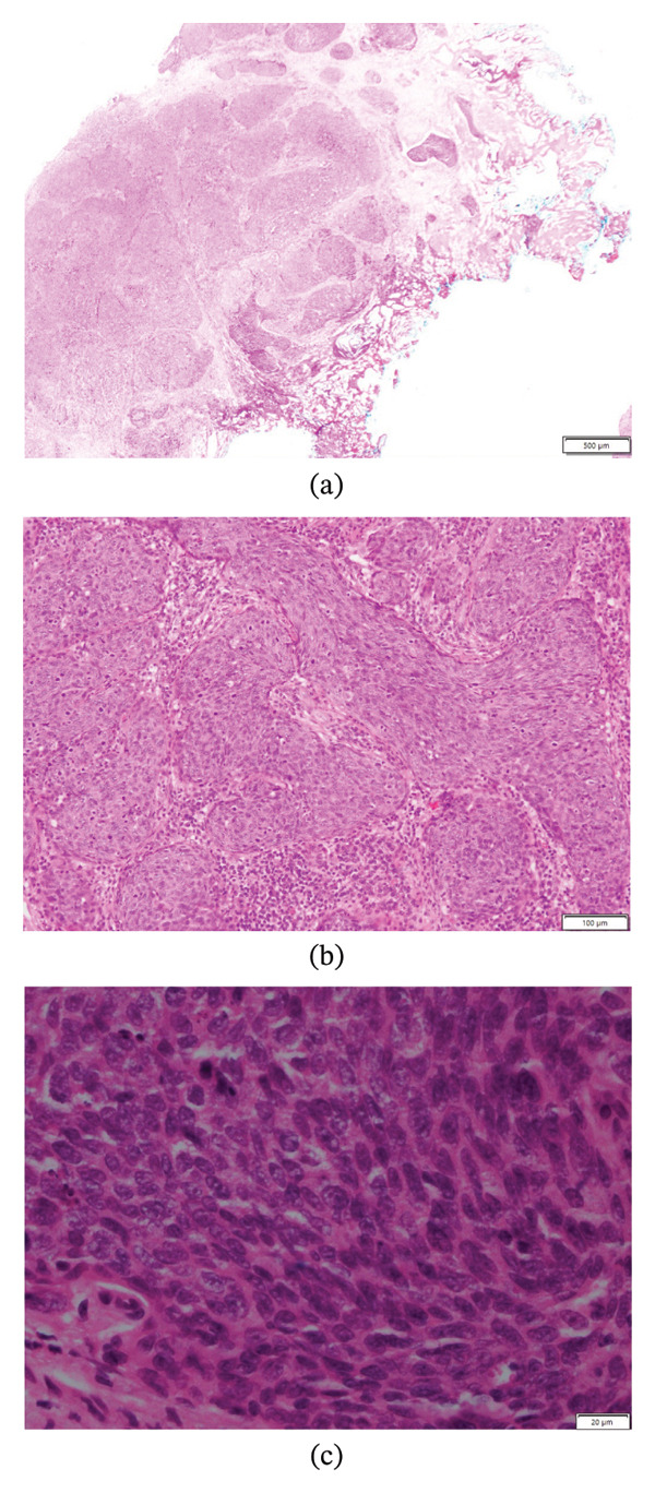 FIGURE 2