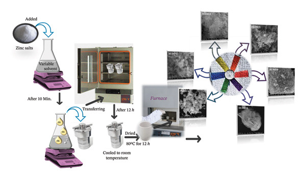FIGURE 1