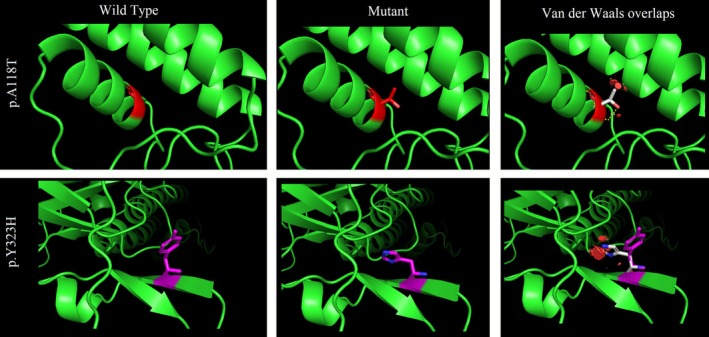 FIGURE 4