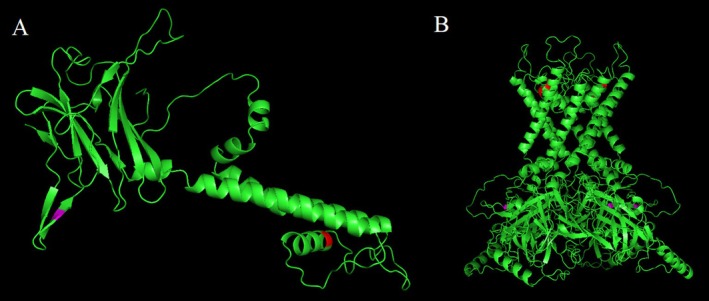 FIGURE 3