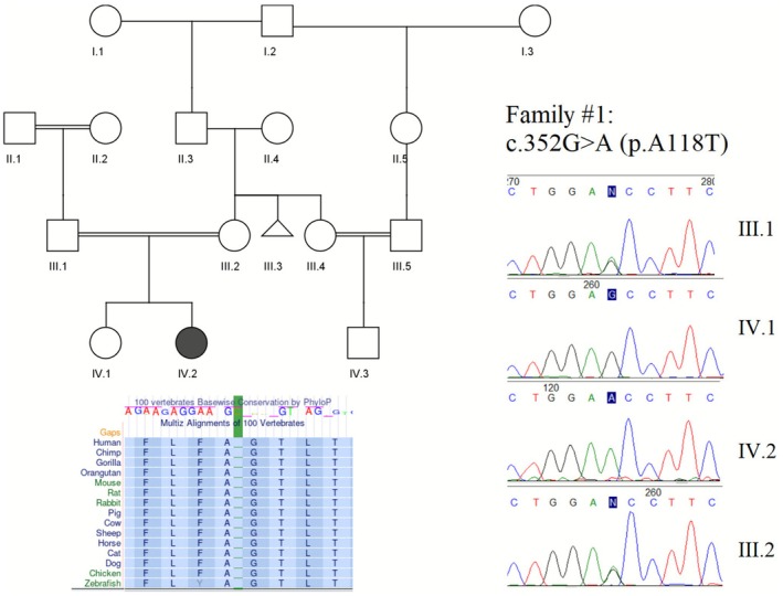 FIGURE 1