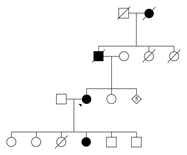 FIGURE 1