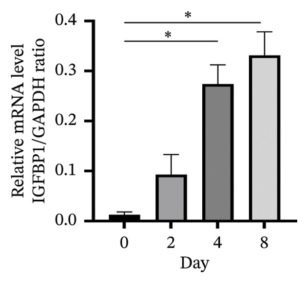 Figure 17